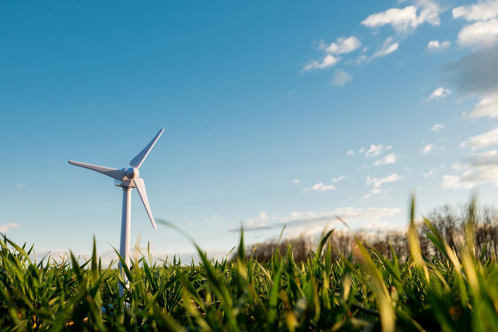 5 Reasons Why Every Home Should Switch to Solar Power